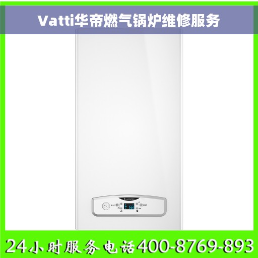 Vatti华帝燃气锅炉维修服务