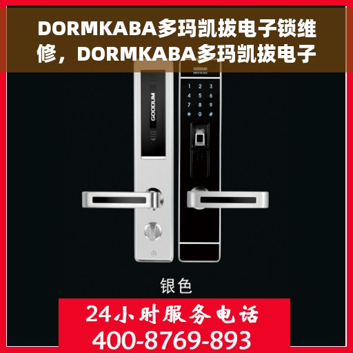 DORMKABA多玛凯拔电子锁维修，DORMKABA多玛凯拔电子锁维修详解