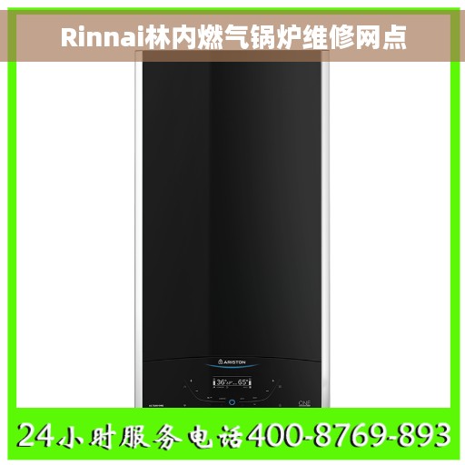 Rinnai林内燃气锅炉维修网点