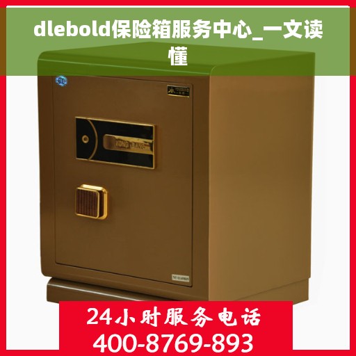 dlebold保险箱服务中心_一文读懂