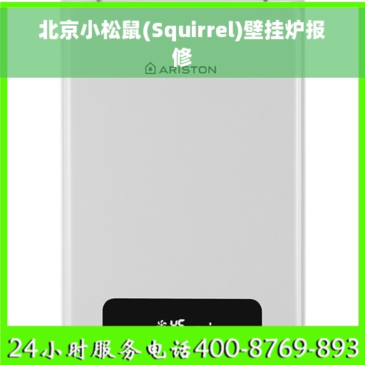 北京小松鼠(Squirrel)壁挂炉报修
