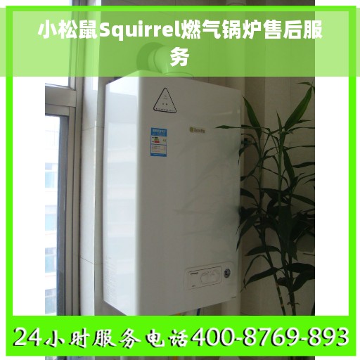 小松鼠Squirrel燃气锅炉售后服务