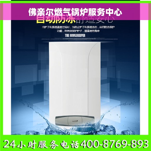 佛亲尔燃气锅炉服务中心