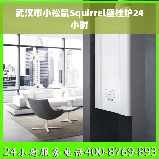 武汉市小松鼠Squirrel壁挂炉24小时