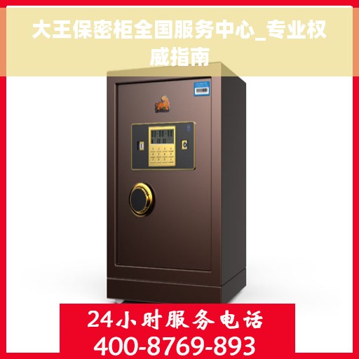 大王保密柜全国服务中心_专业权威指南