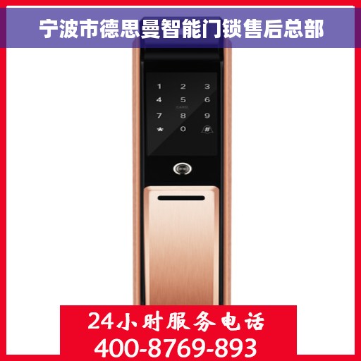 宁波市德思曼智能门锁售后总部