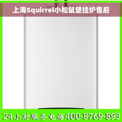 上海Squirrel小松鼠壁挂炉售后