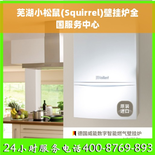 芜湖小松鼠(Squirrel)壁挂炉全国服务中心