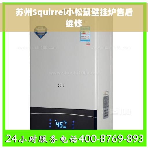 苏州Squirrel小松鼠壁挂炉售后维修