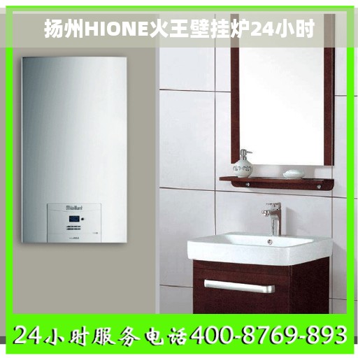 扬州HIONE火王壁挂炉24小时