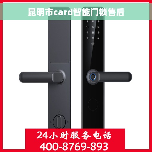 昆明市card智能门锁售后