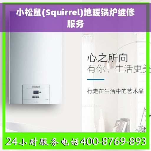 小松鼠(Squirrel)地暖锅炉维修服务 小松鼠(Squirrel)地暖锅炉维修服务