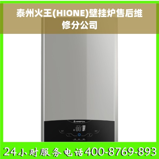泰州火王(HIONE)壁挂炉售后维修分公司