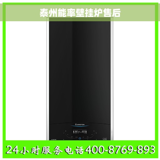 泰州能率壁挂炉售后