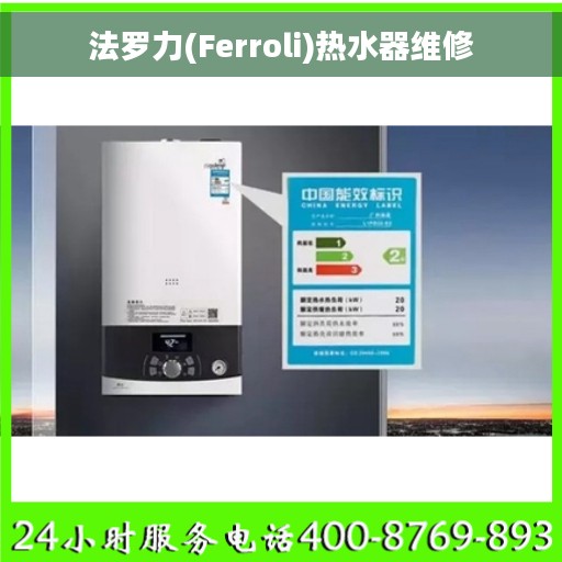 法罗力(Ferroli)热水器维修