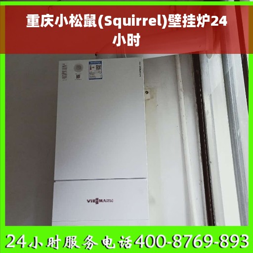 重庆小松鼠(Squirrel)壁挂炉24小时