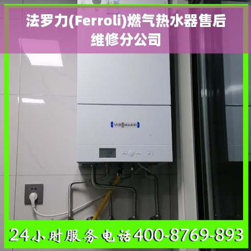 法罗力(Ferroli)燃气热水器售后维修分公司