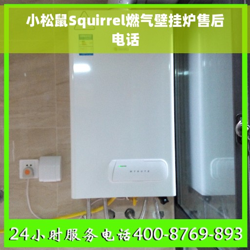 小松鼠Squirrel燃气壁挂炉售后电话