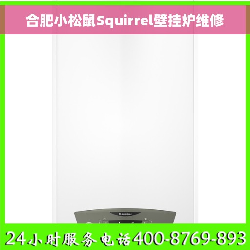 合肥小松鼠Squirrel壁挂炉维修