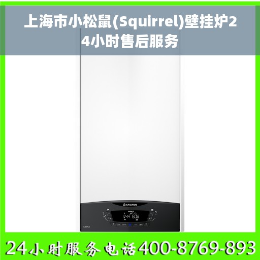 上海市小松鼠(Squirrel)壁挂炉24小时售后服务