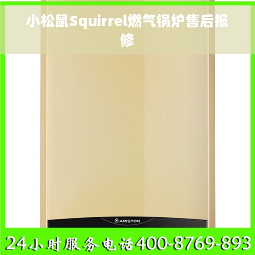 小松鼠Squirrel燃气锅炉售后报修
