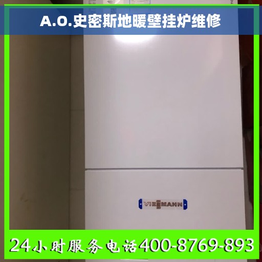 A.O.史密斯地暖壁挂炉维修
