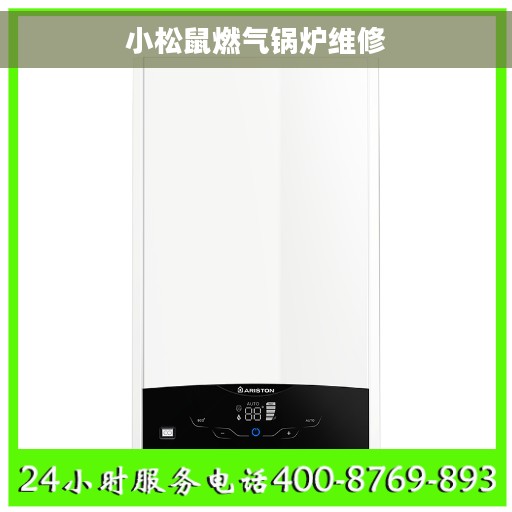 小松鼠燃气锅炉维修