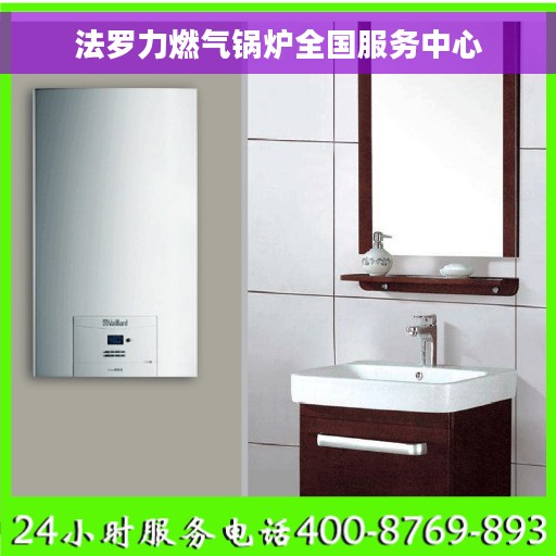 法罗力燃气锅炉全国服务中心 法罗力燃气锅炉全国服务中心