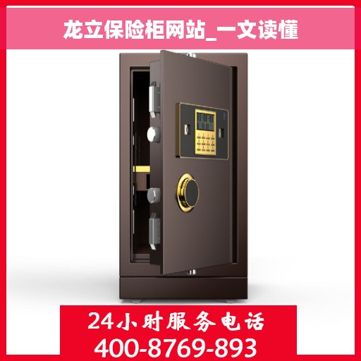 龙立保险柜网站_一文读懂