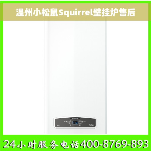 温州小松鼠Squirrel壁挂炉售后