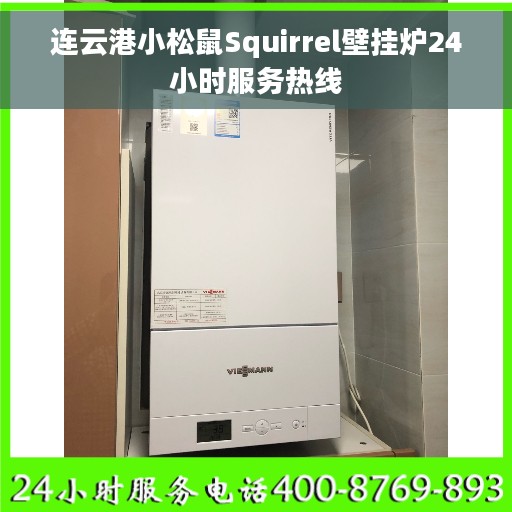 连云港小松鼠Squirrel壁挂炉24小时服务热线