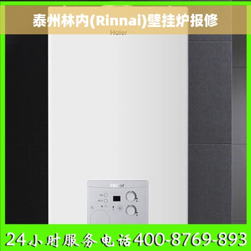 泰州林内(Rinnai)壁挂炉报修