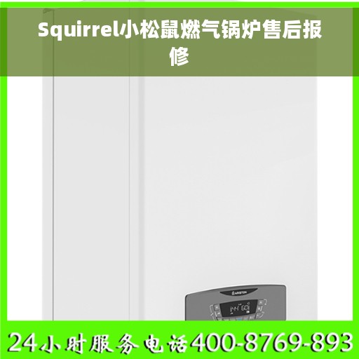 Squirrel小松鼠燃气锅炉售后报修