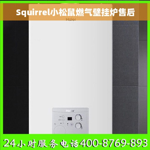 Squirrel小松鼠燃气壁挂炉售后