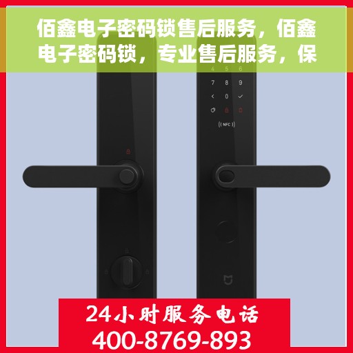 佰鑫电子密码锁售后服务，佰鑫电子密码锁，专业售后服务，保障您的安全之选