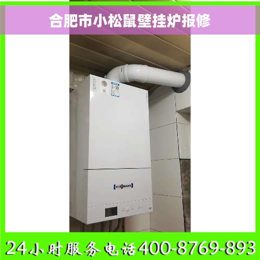合肥市小松鼠壁挂炉报修