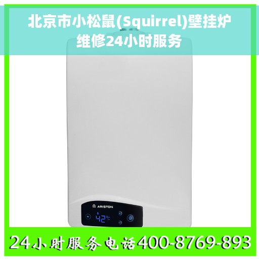 北京市小松鼠(Squirrel)壁挂炉维修24小时服务