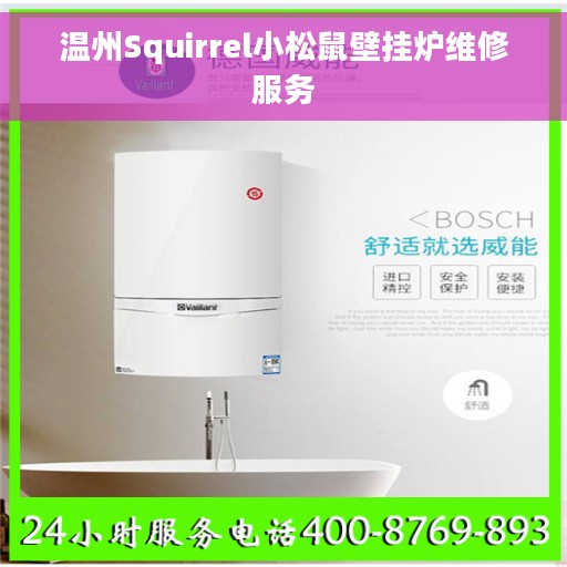 温州Squirrel小松鼠壁挂炉维修服务