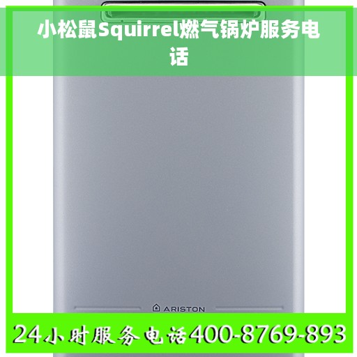 小松鼠Squirrel燃气锅炉服务电话