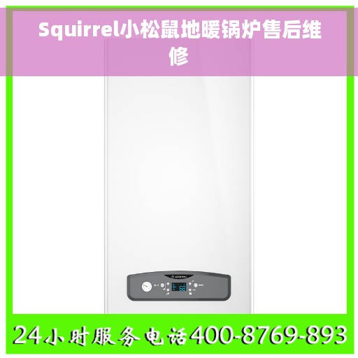 Squirrel小松鼠地暖锅炉售后维修