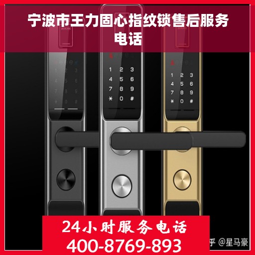 宁波市王力固心指纹锁售后服务电话