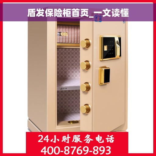 盾发保险柜首页_一文读懂