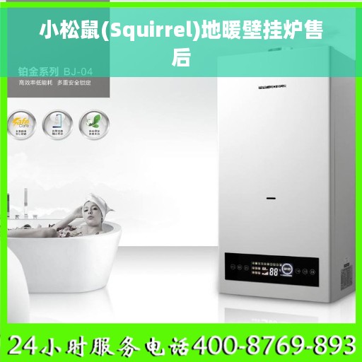 小松鼠(Squirrel)地暖壁挂炉售后