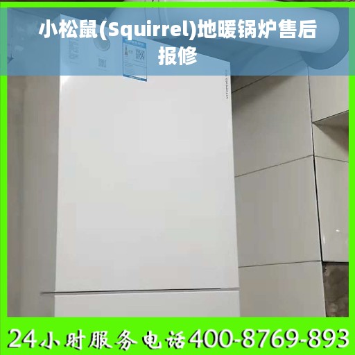 小松鼠(Squirrel)地暖锅炉售后报修