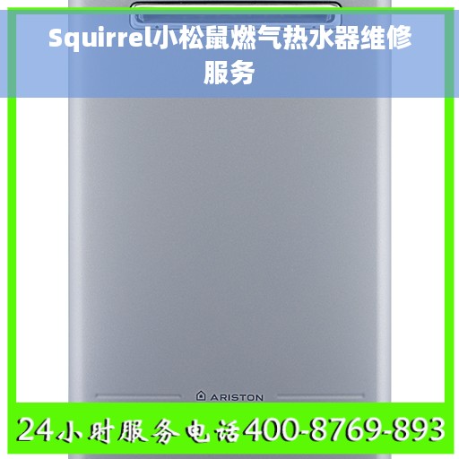 Squirrel小松鼠燃气热水器维修服务