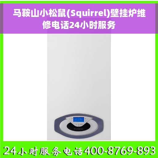 马鞍山小松鼠(Squirrel)壁挂炉维修电话24小时服务
