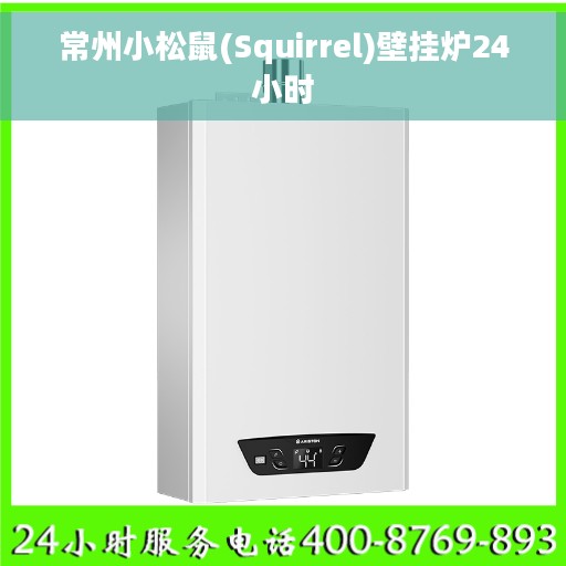 常州小松鼠(Squirrel)壁挂炉24小时