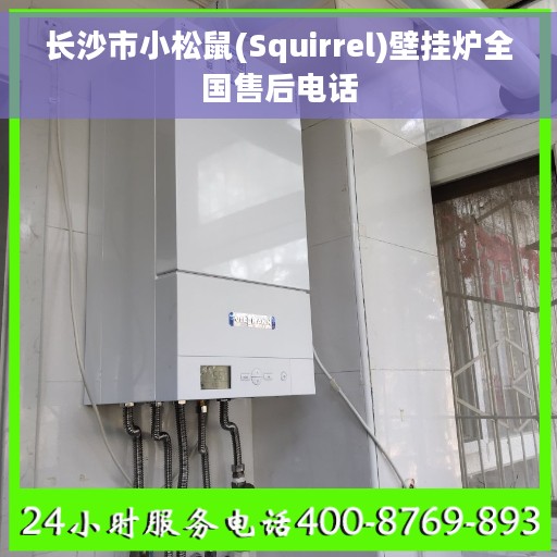 长沙市小松鼠(Squirrel)壁挂炉全国售后电话