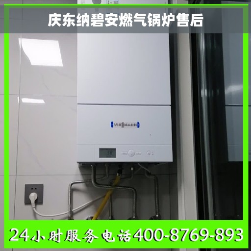庆东纳碧安燃气锅炉售后