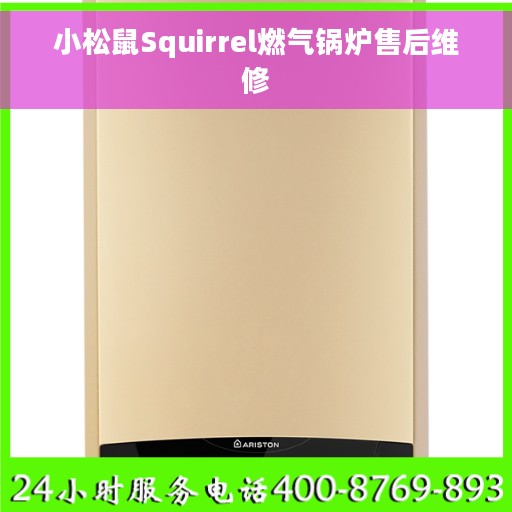 小松鼠Squirrel燃气锅炉售后维修